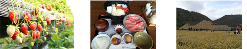 500-100ichigogari-sukiyaki.jpg