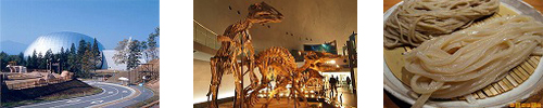 そば打ち体験・恐竜博物館